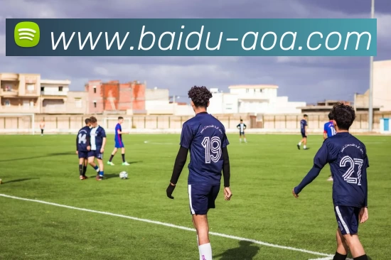 AOA体育平台生态图